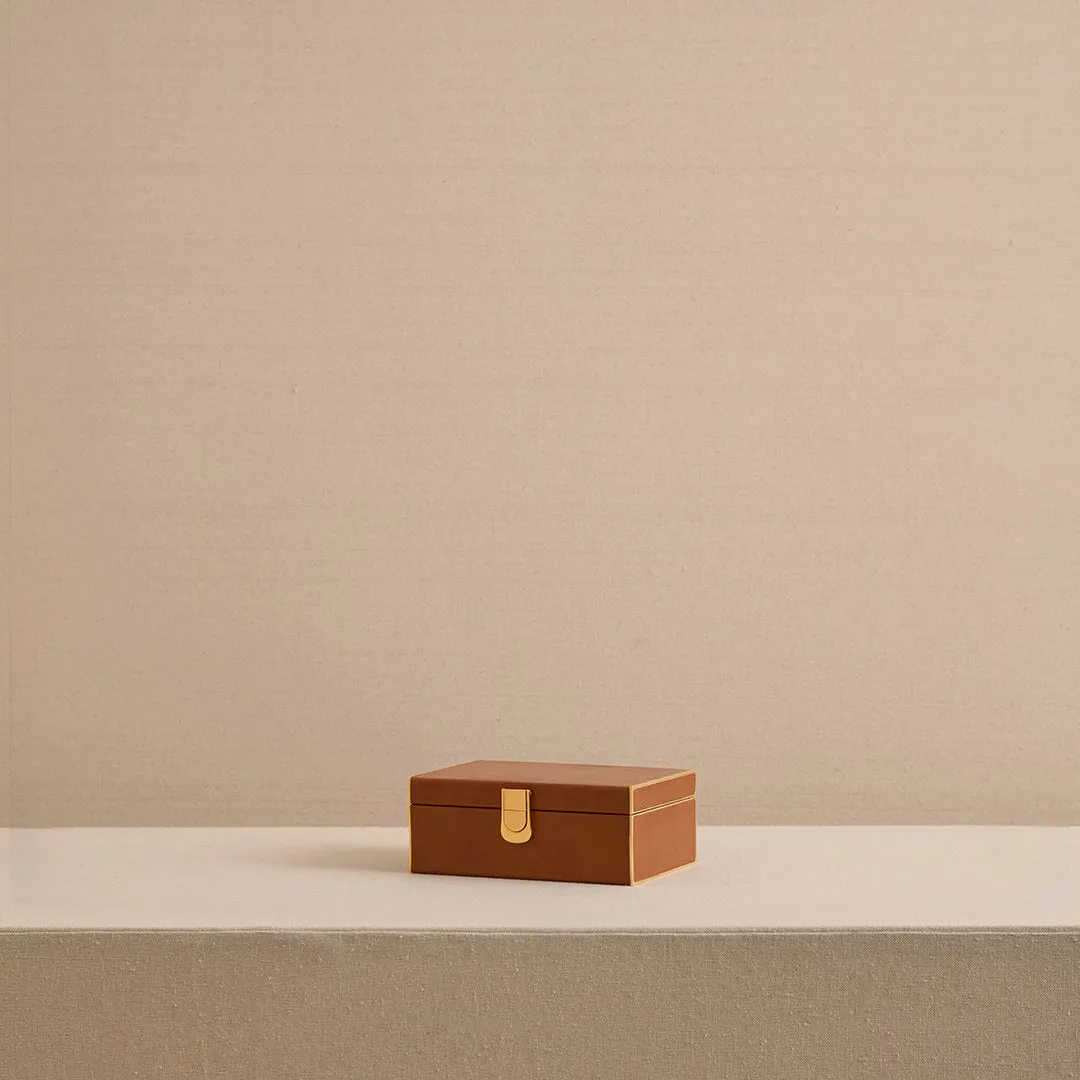 Bridge Box in Luggage